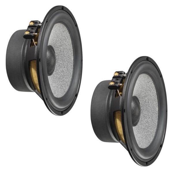 Brax Graphic GL6 165mm High-End Woofer Seti