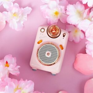 Divoom Fairy-OK Pembe Karaoke Mikrofonlu FM Radyolu Bluetooth Hoparlör - Görsel 8