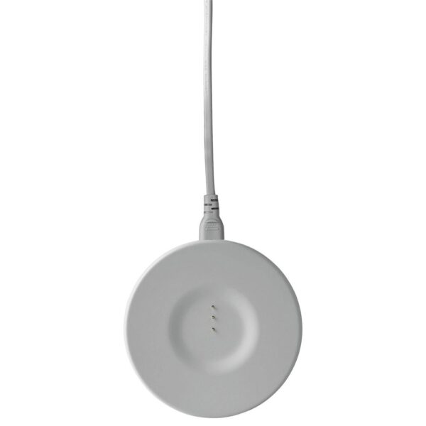 Harman Kardon Citation 200 Gri Bluetooth Hoparlör - Görsel 7