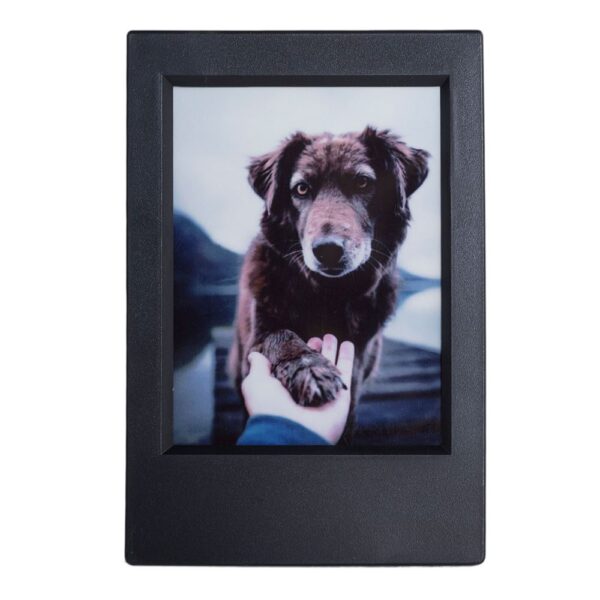 Instax mini LiPlay Hybrid Blush Gold Fotoğraf Makinesi-10lu mini Film ve Çerçeve - Görsel 6