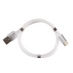 Swiss Charger Type-C Manyetik Hızlı Şarj ve Data Kablosu