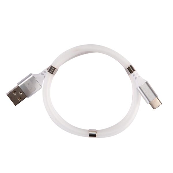 Swiss Charger Type-C Manyetik Hızlı Şarj ve Data Kablosu
